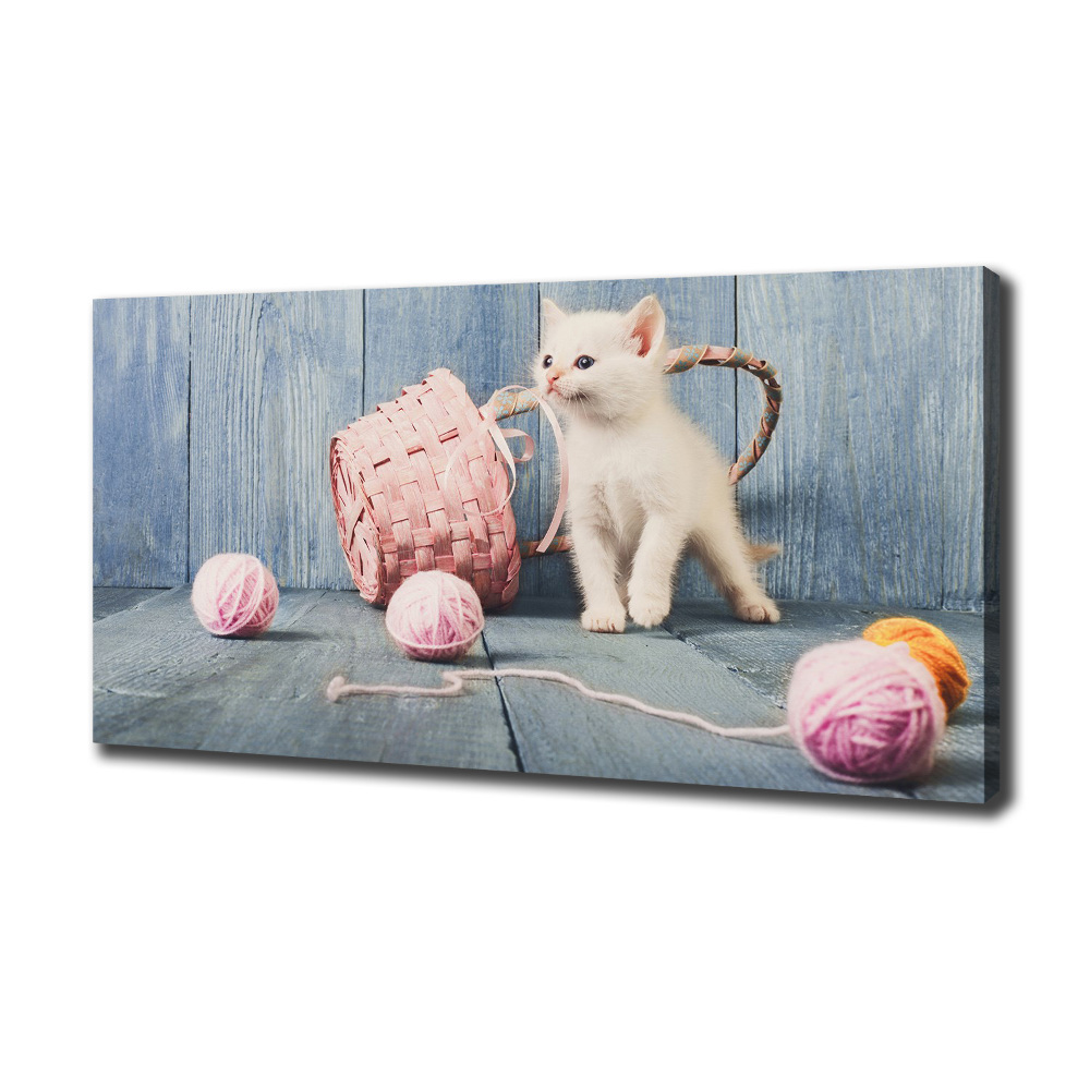 Tableau imprimé sur toile Chat blanc et houes