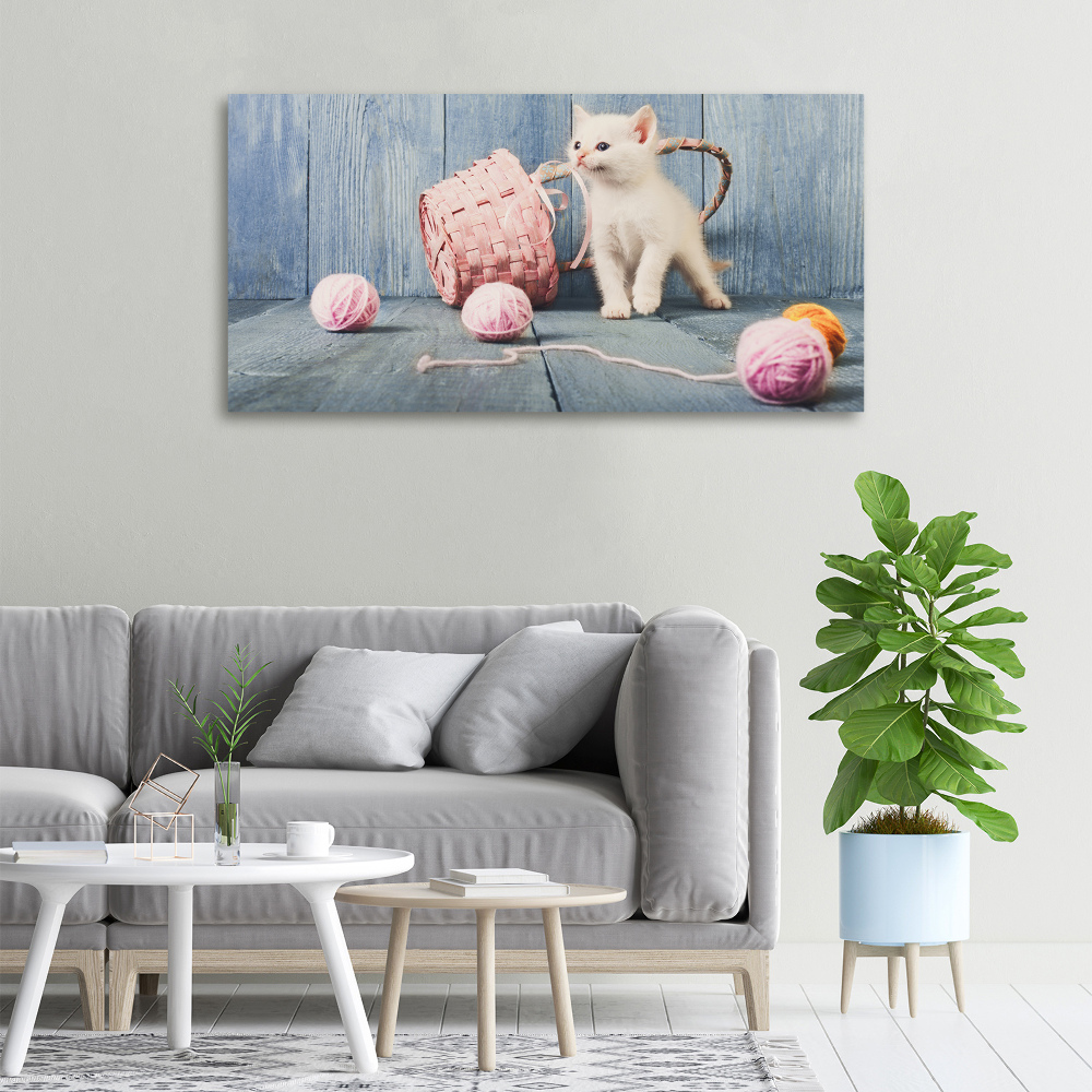 Tableau imprimé sur toile Chat blanc et houes