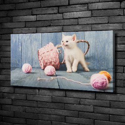 Tableau imprimé sur toile Chat blanc et houes