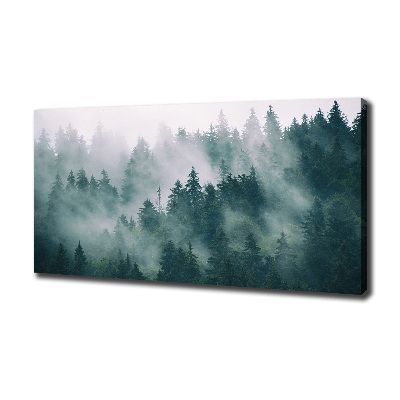 Tableau photo sur toile Brouillard sur la forêt