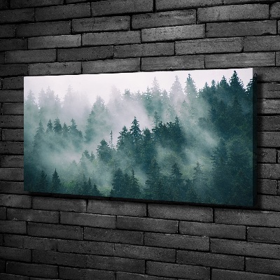 Tableau photo sur toile Brouillard sur la forêt