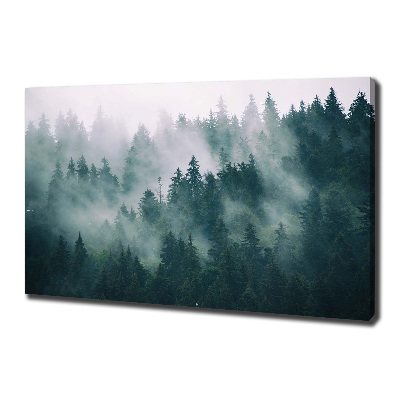 Tableau photo sur toile Brouillard sur la forêt