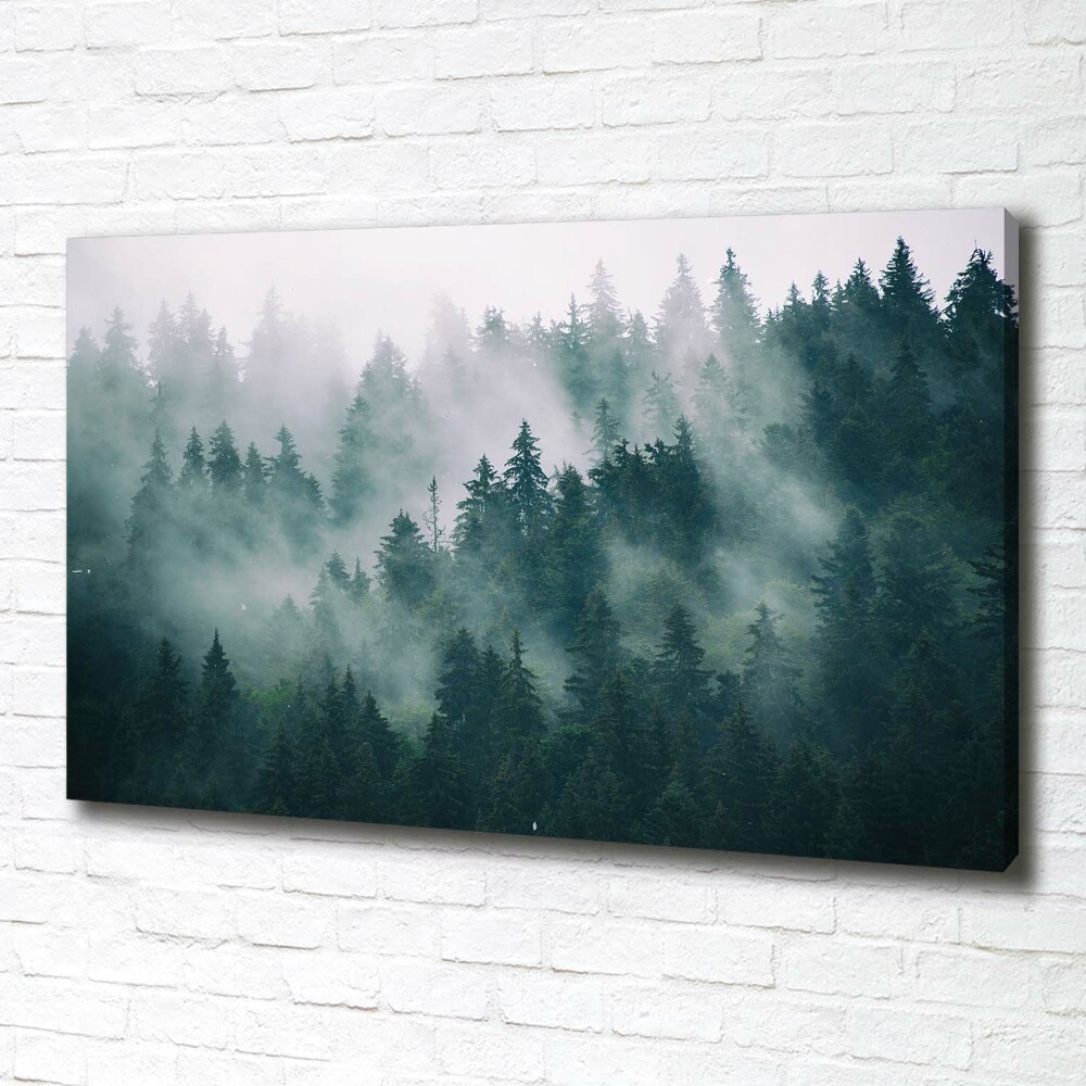 Tableau photo sur toile Brouillard sur la forêt