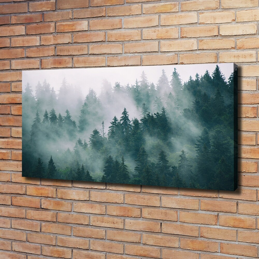 Tableau photo sur toile Brouillard sur la forêt