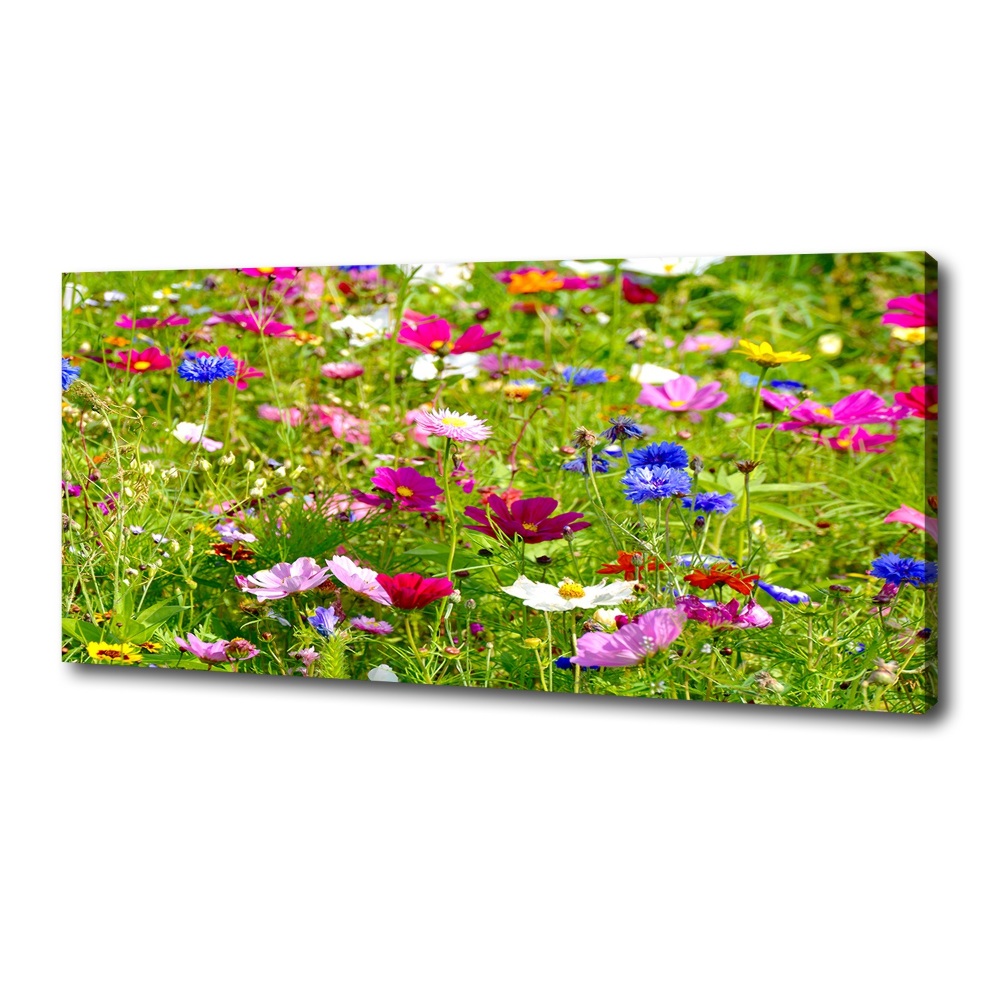 Tableau mural sur toile Fleurs des champs