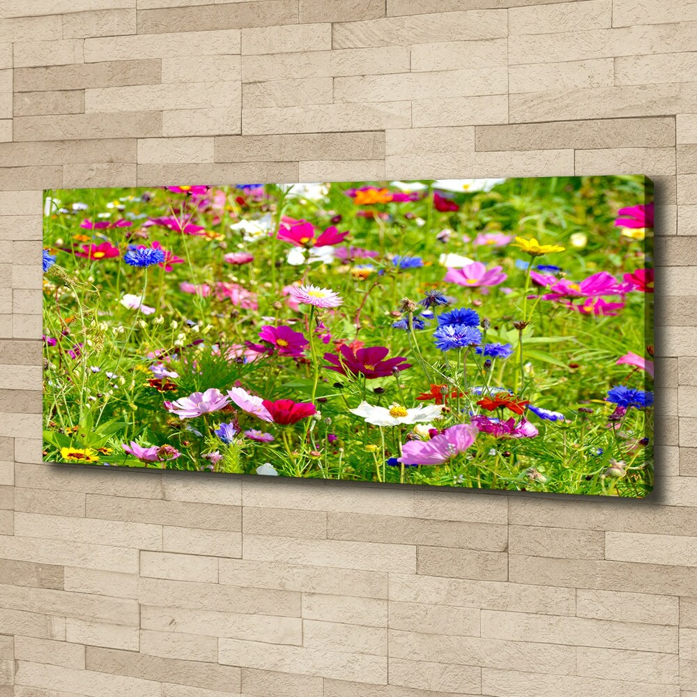 Tableau mural sur toile Fleurs des champs