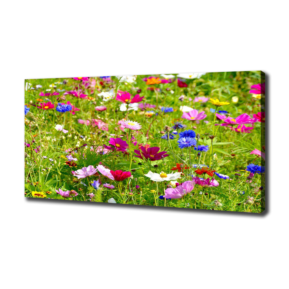 Tableau mural sur toile Fleurs des champs