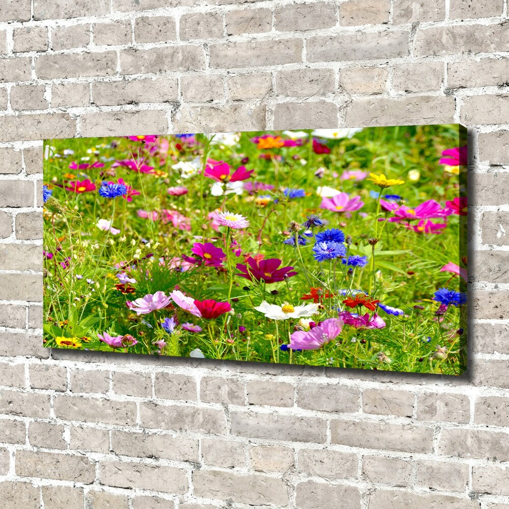 Tableau mural sur toile Fleurs des champs