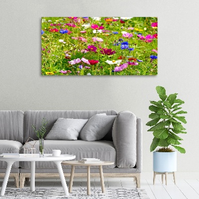 Tableau mural sur toile Fleurs des champs