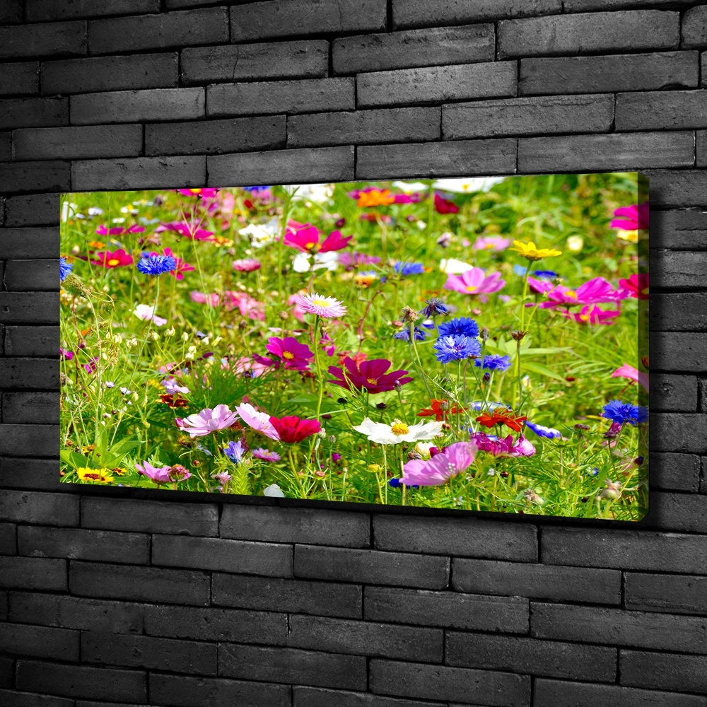 Tableau mural sur toile Fleurs des champs