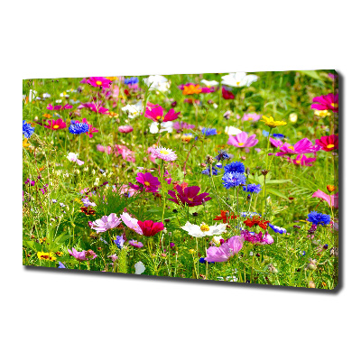 Tableau mural sur toile Fleurs des champs