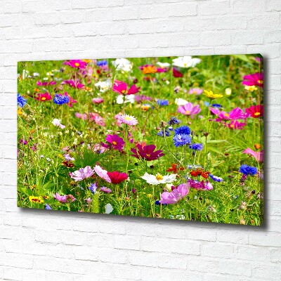 Tableau mural sur toile Fleurs des champs