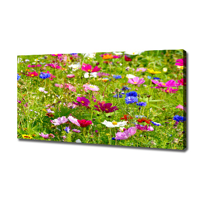 Tableau mural sur toile Fleurs des champs