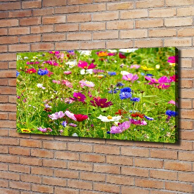 Tableau mural sur toile Fleurs des champs