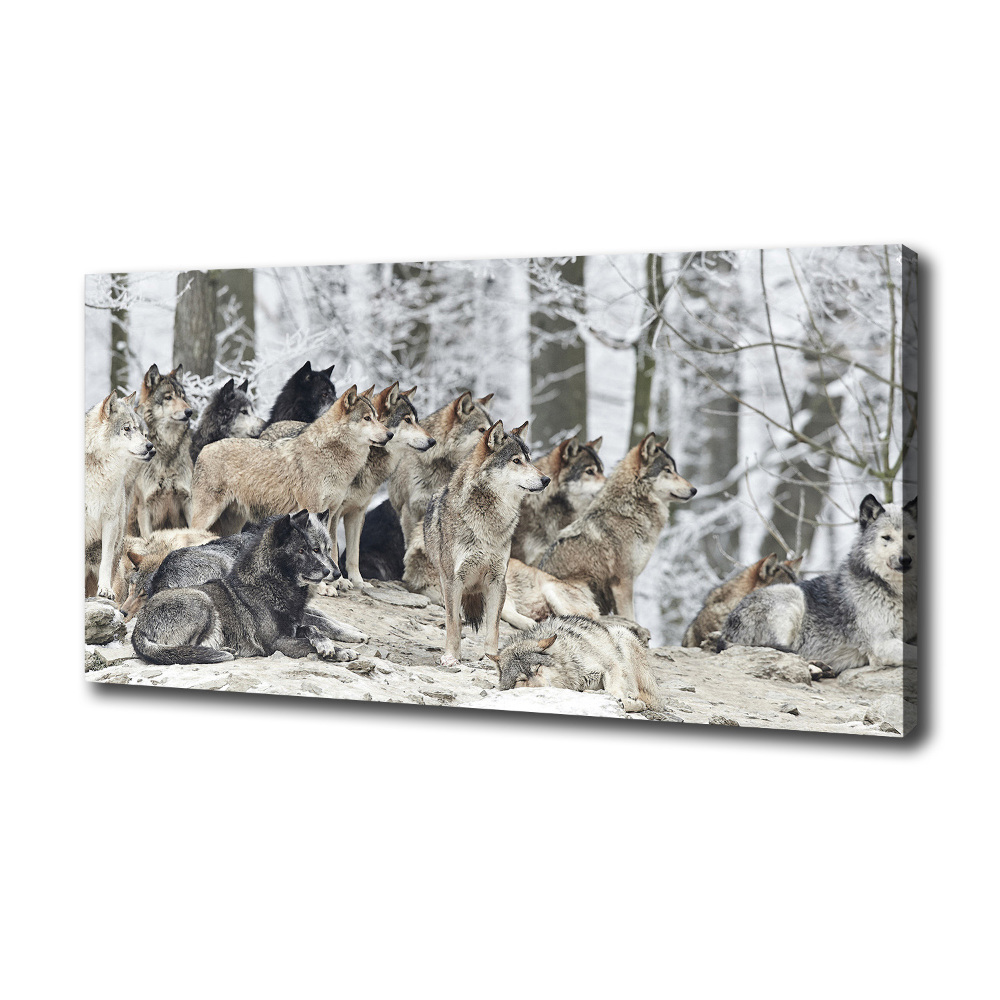 Tableau mural sur toile Loups en hiver