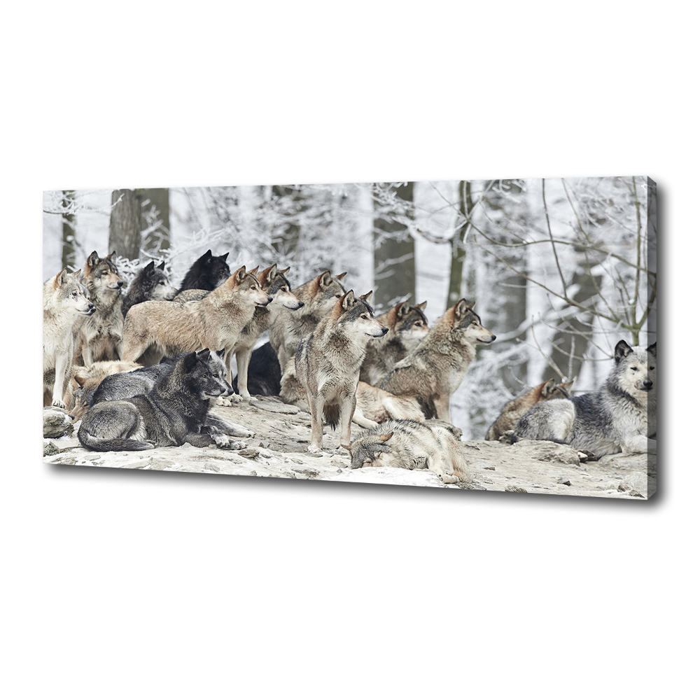 Tableau mural sur toile Loups en hiver