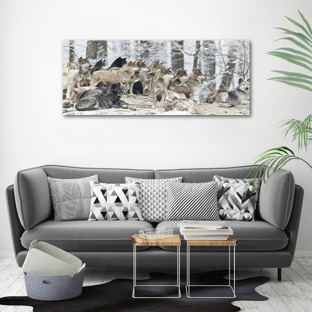 Tableau mural sur toile Loups en hiver