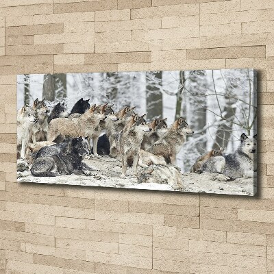 Tableau mural sur toile Loups en hiver