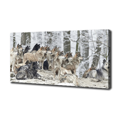 Tableau mural sur toile Loups en hiver