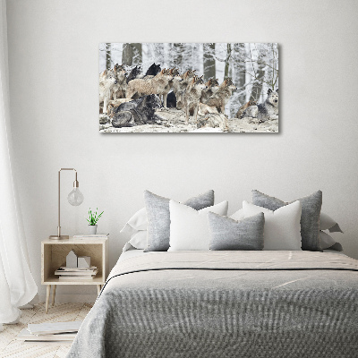 Tableau mural sur toile Loups en hiver