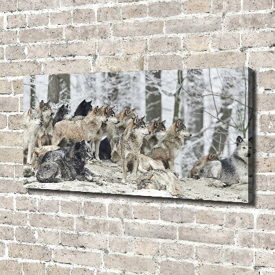 Tableau mural sur toile Loups en hiver