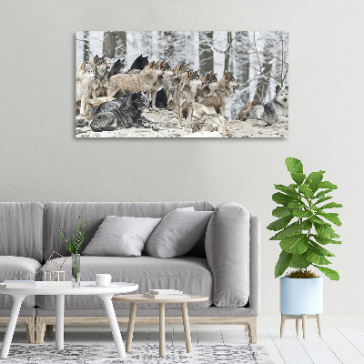 Tableau mural sur toile Loups en hiver