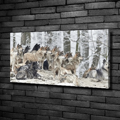 Tableau mural sur toile Loups en hiver