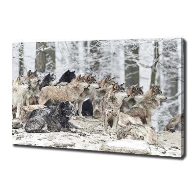 Tableau mural sur toile Loups en hiver