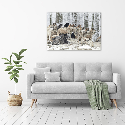 Tableau mural sur toile Loups en hiver