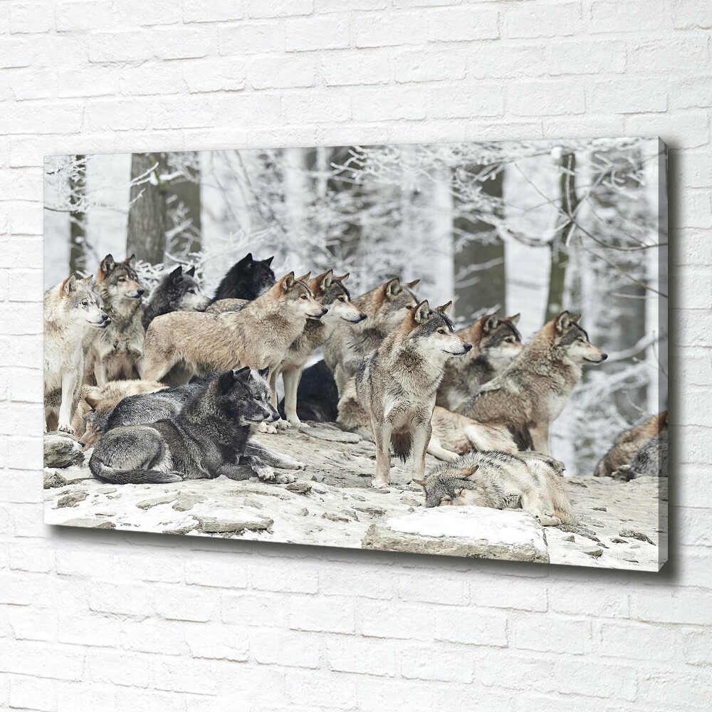 Tableau mural sur toile Loups en hiver