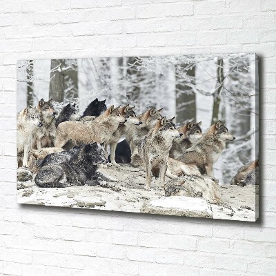 Tableau mural sur toile Loups en hiver