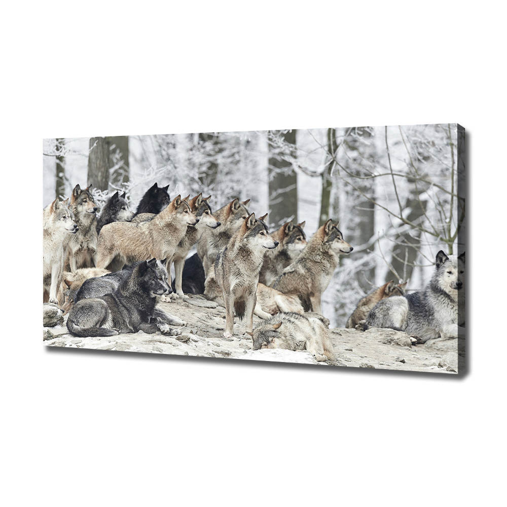 Tableau mural sur toile Loups en hiver