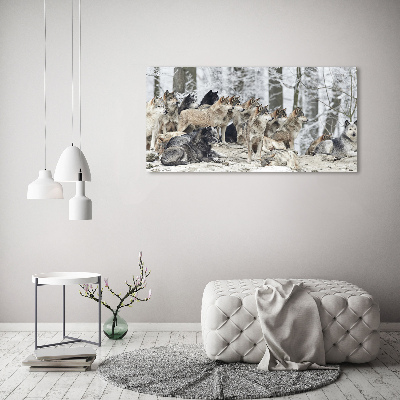 Tableau mural sur toile Loups en hiver