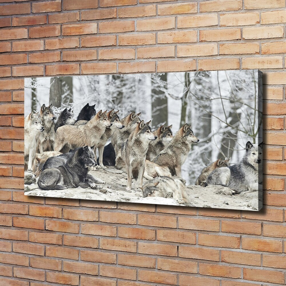 Tableau mural sur toile Loups en hiver