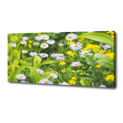 Tableau mural sur toile Marguerites