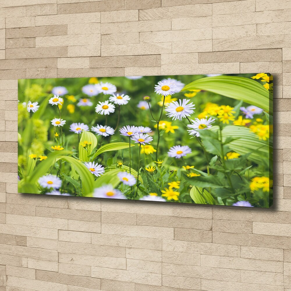 Tableau mural sur toile Marguerites