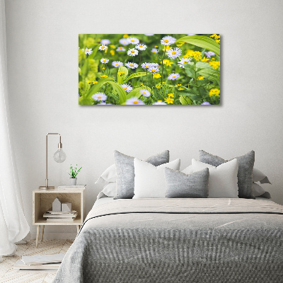 Tableau mural sur toile Marguerites