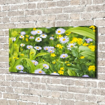 Tableau mural sur toile Marguerites