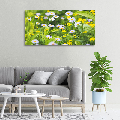 Tableau mural sur toile Marguerites