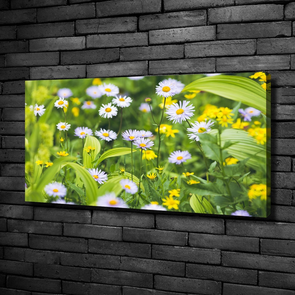 Tableau mural sur toile Marguerites