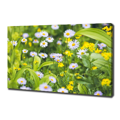 Tableau mural sur toile Marguerites