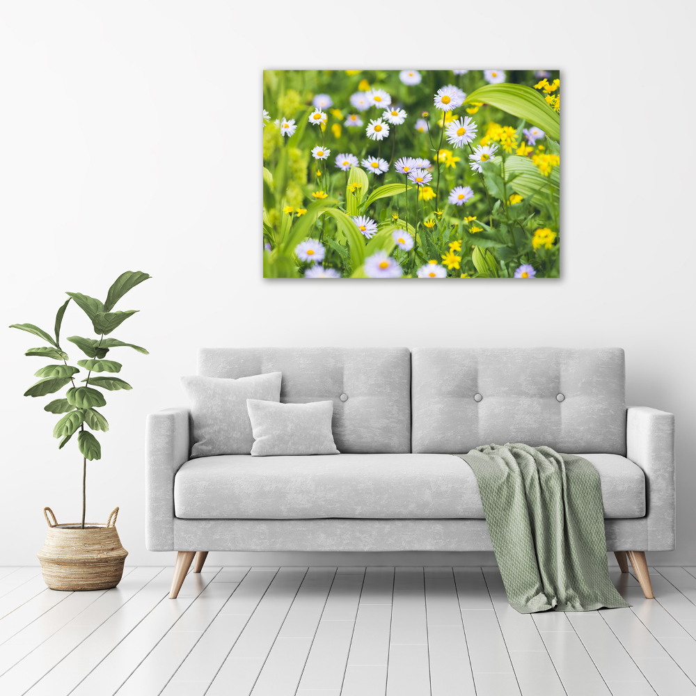 Tableau mural sur toile Marguerites