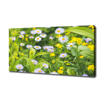 Tableau mural sur toile Marguerites