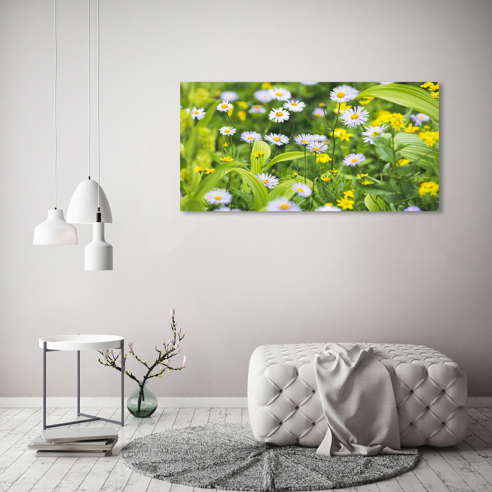 Tableau mural sur toile Marguerites