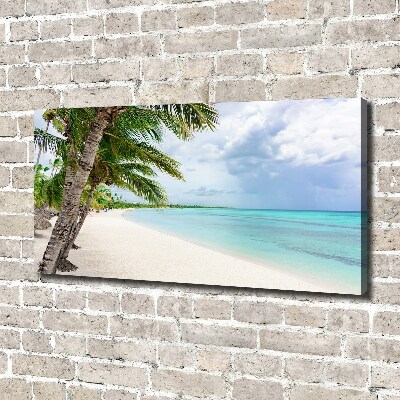 Tableau mural sur toile Plage tropicale