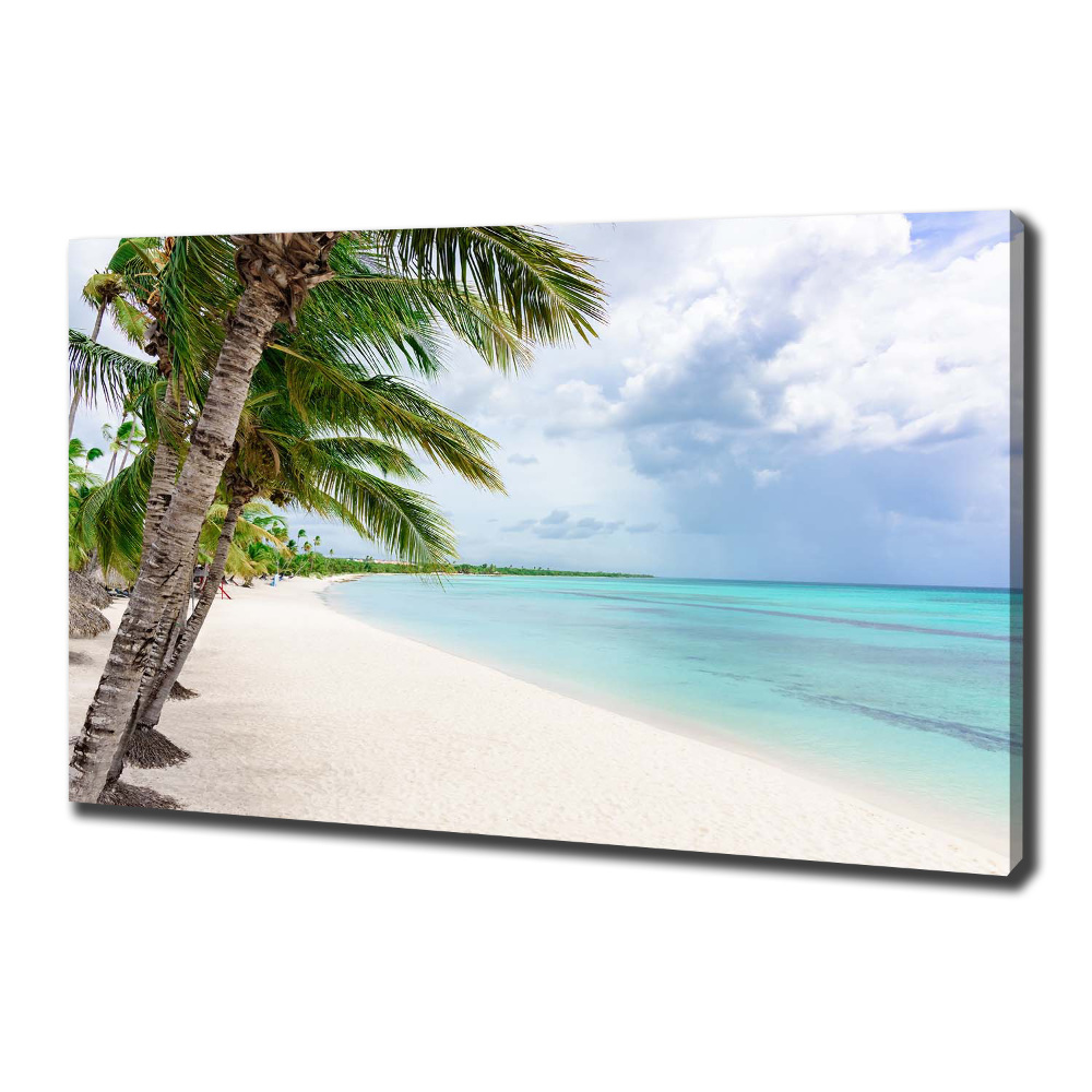 Tableau mural sur toile Plage tropicale