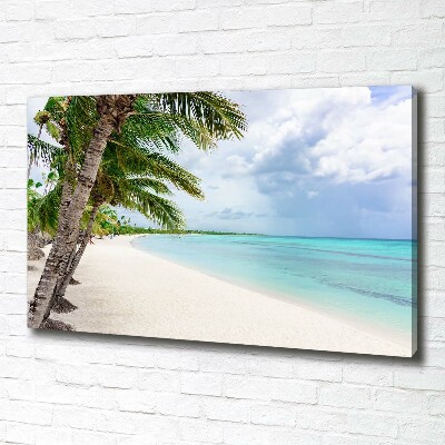 Tableau mural sur toile Plage tropicale