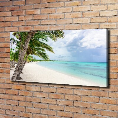 Tableau mural sur toile Plage tropicale