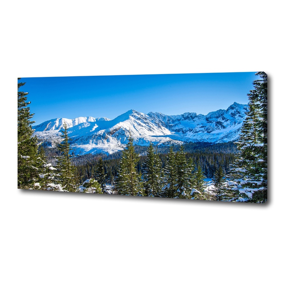 Tableau photo sur toile Panorama des Tatras