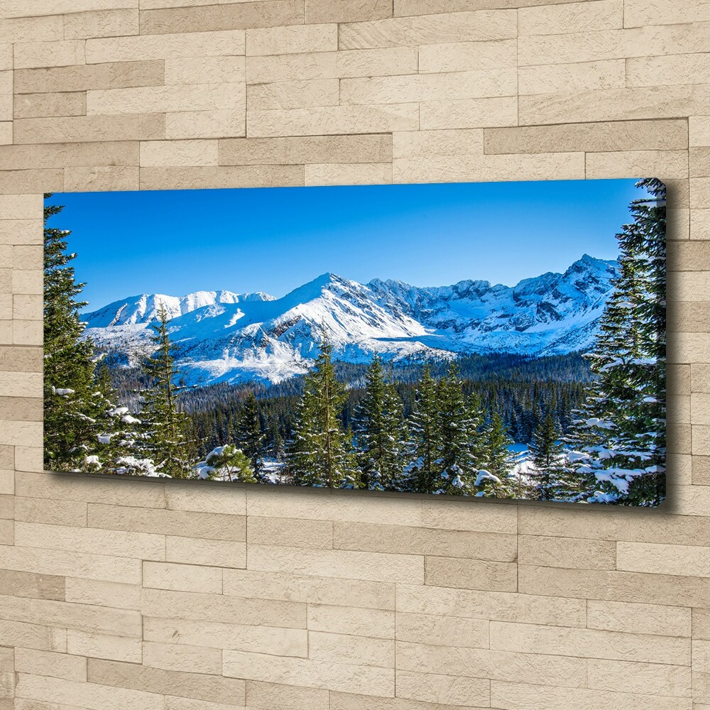 Tableau photo sur toile Panorama des Tatras